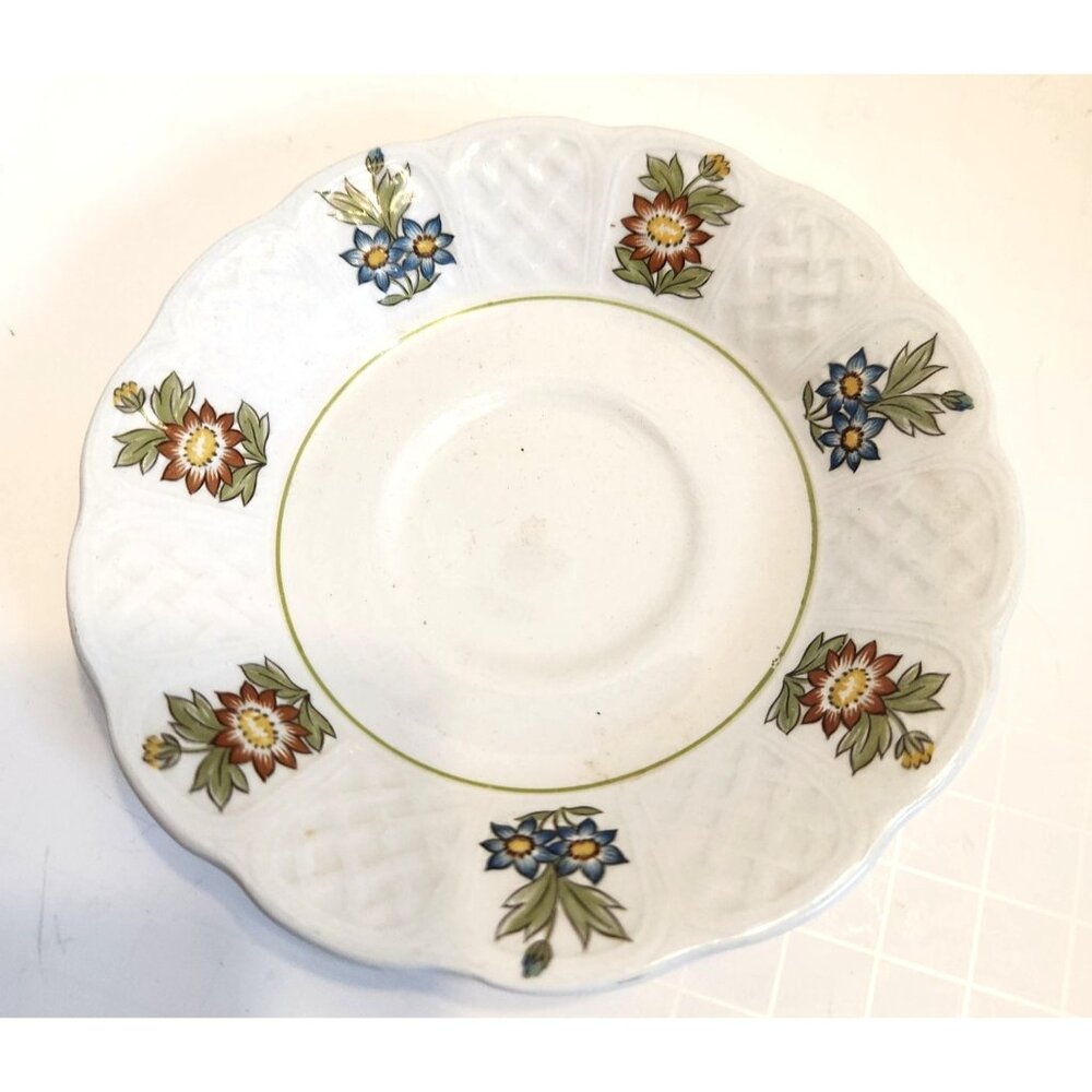 Royal Cauldon Bristol Ironstone June Garden Saucer Plate Floral Design England